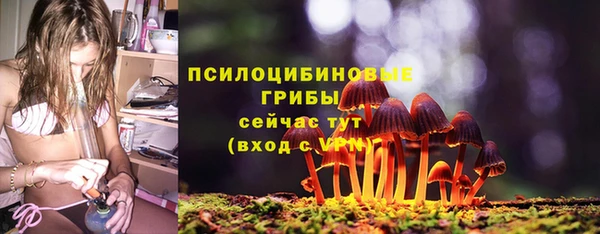 ALPHA PVP Аркадак